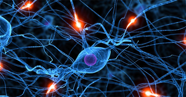 Connessioni neuronali